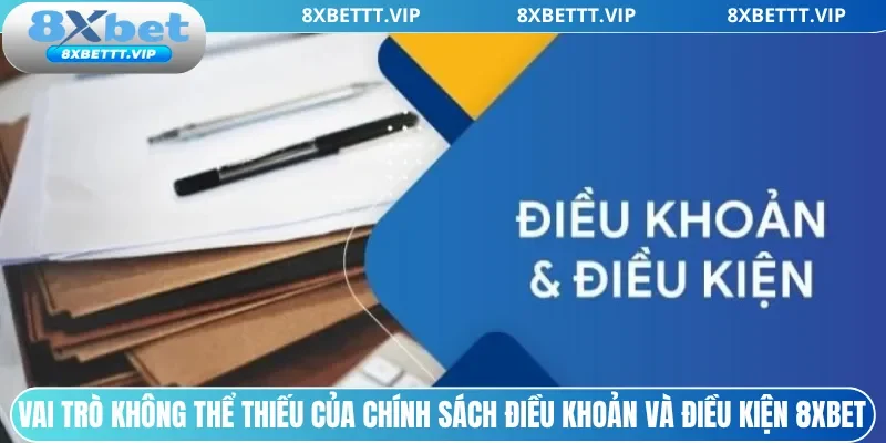 Vai trò không thể thiếu của chính sách điều khoản và điều kiện 8xbet